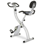 Tecnovita by BH Back Fit