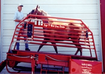 cinta de correr para caballos cinta de correr para caballos