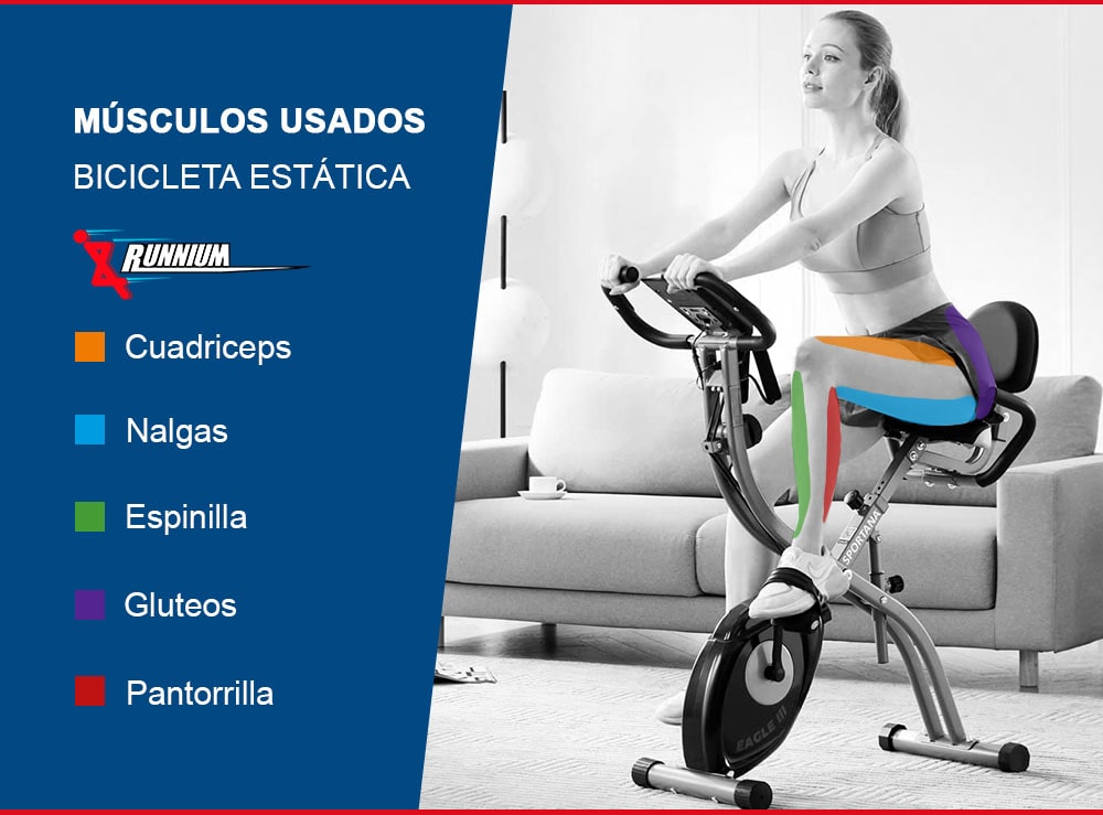 músculos usados bicicleta estática